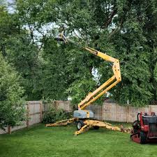 Bunker Hill, OR Tree Removal and Landscaping Services Company